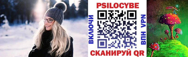 цена   Каргополь  Галлюциногенные грибы Psilocybine cubensis 